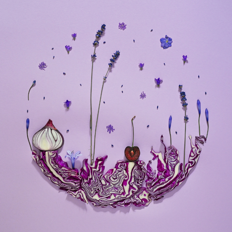 Violetta