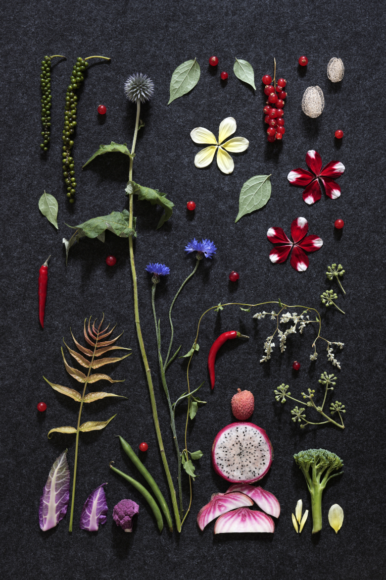 Wilder Garten
